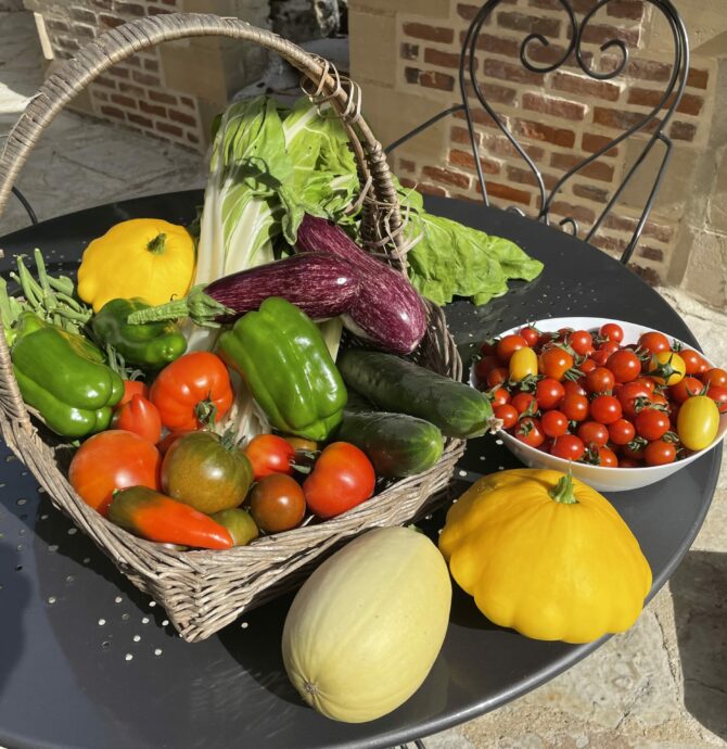 Légumes du potager
