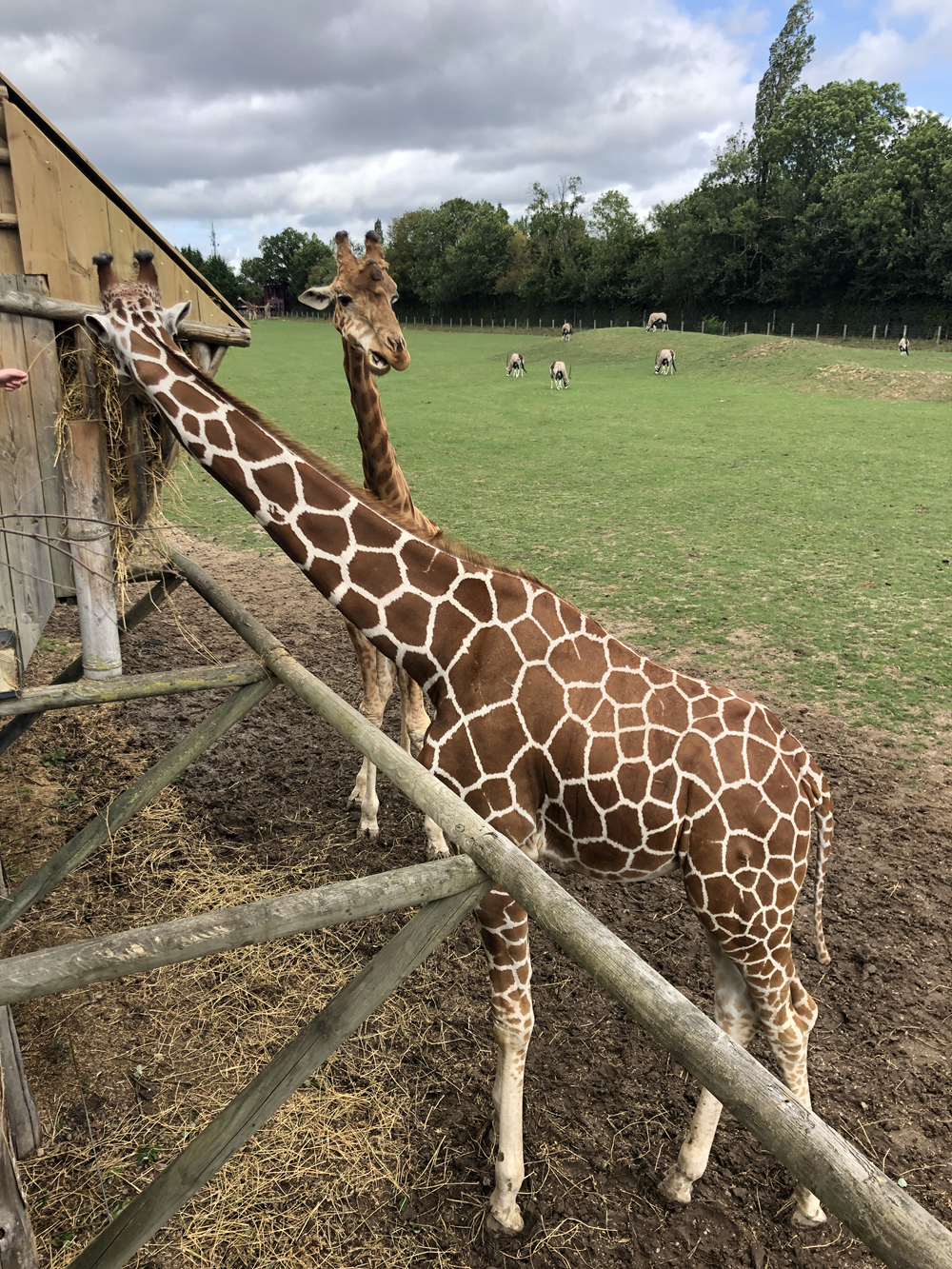 Des parc animaliers